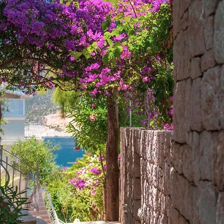 Hotel Lukka Exclusive - Adult Only +12